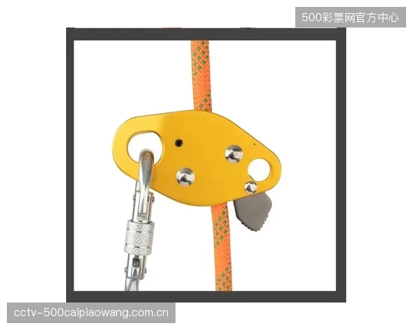 保险公司开始引用侧向冲击破坏测试数据,为攀岩馆的防坠器资产提供差异化费率,安全投入首次实现风险量化 保险公司开始引用侧向冲击破坏测试数据,为攀岩馆的防坠器资产提供差异化费率,安全投入首次实现风险量化
